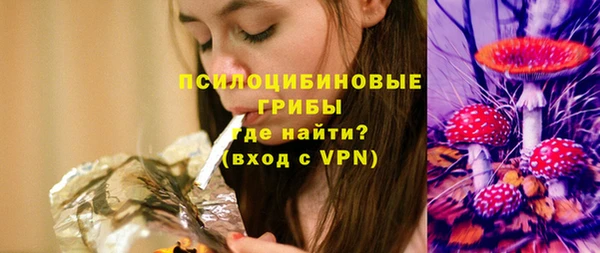 стаф Алексин
