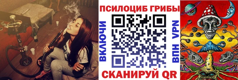 Псилоцибиновые грибы MAGIC MUSHROOMS  где найти наркотики  ОМГ ОМГ tor  Лебедянь 
