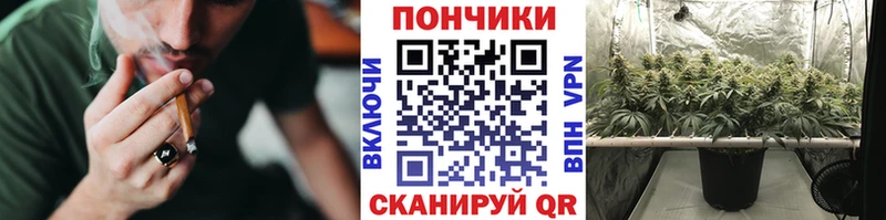 мега ONION  где можно купить наркотик  Лебедянь  Бошки марихуана Ganja 